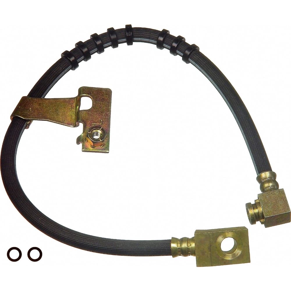 Bromsslang-1