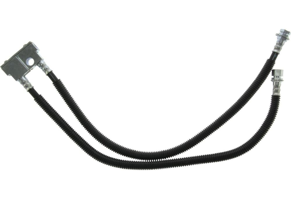 Bromsslang-1