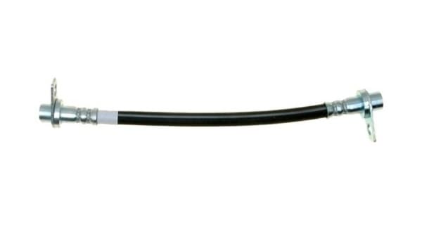 Bromsslang-1