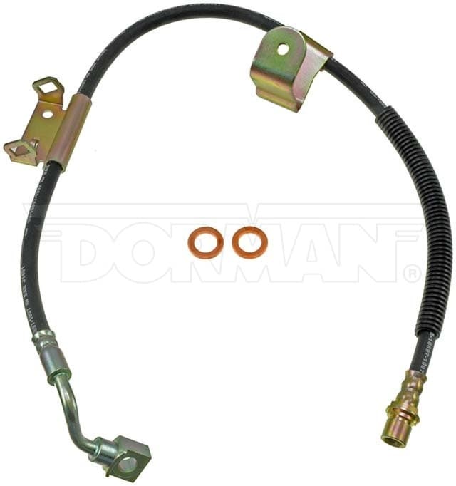 Bromsslang-1