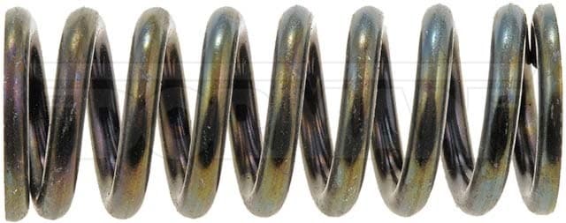 Dörrgångjärnsfjäder-2