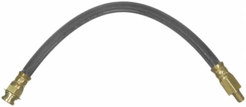 Bromsslang-1