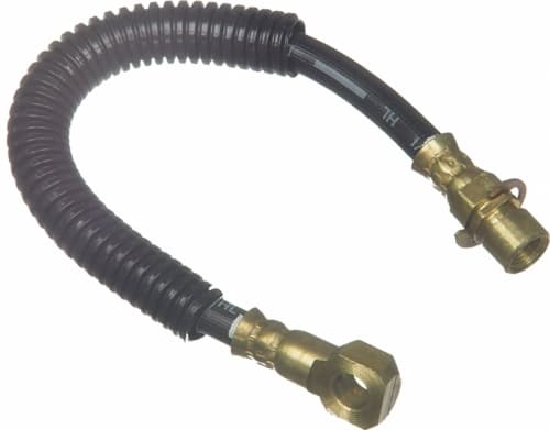 Bromsslang-1