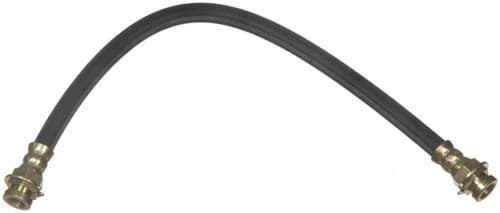 Bromsslang-1