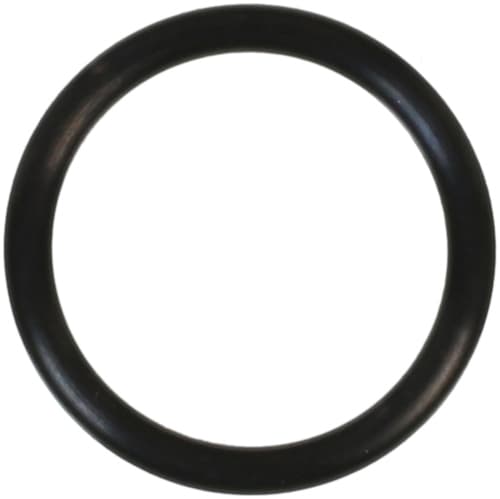 O-ring