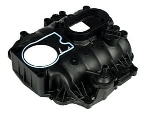 Insug-1