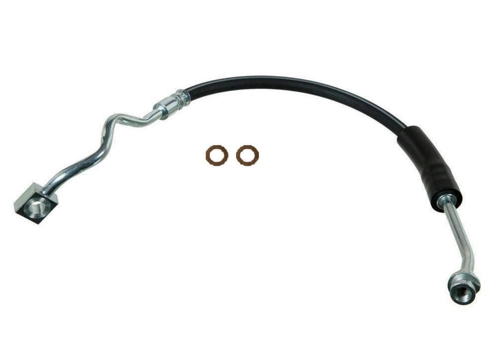 Bromsslang-1