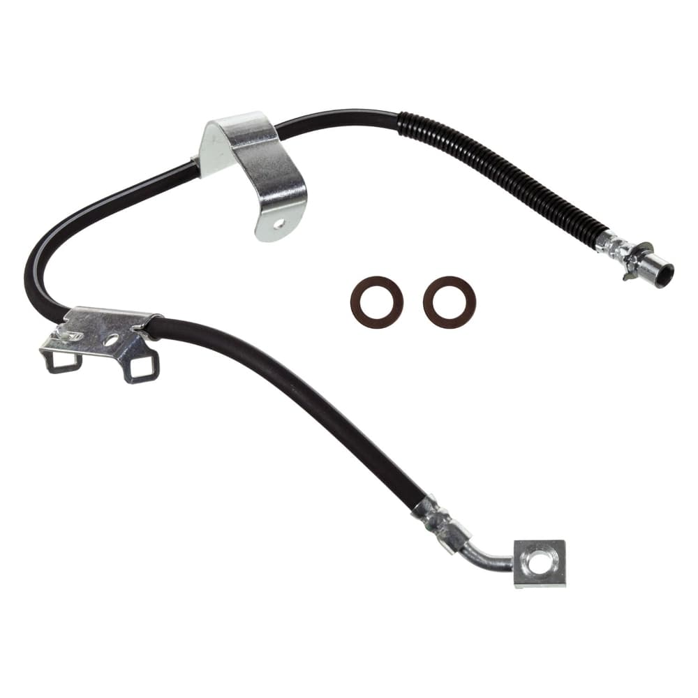 Bromsslang-1
