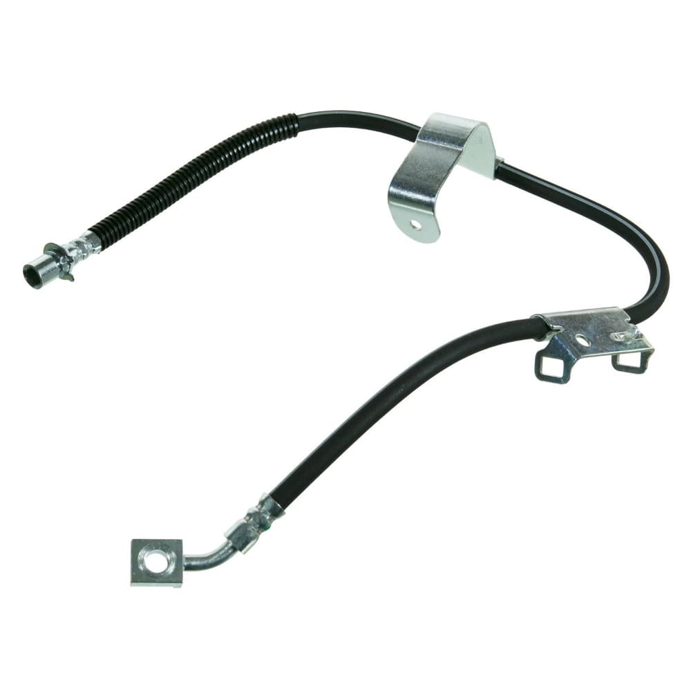 Bromsslang-1