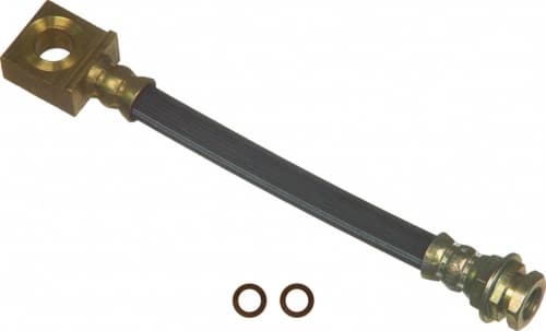 Bromsslang-1