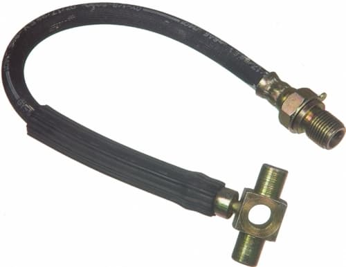 Bromsslang-1