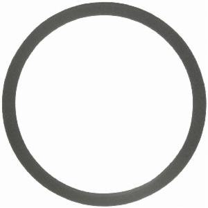 Packning sköld banjo