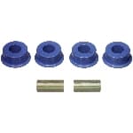 Panhardstagsbussning-3